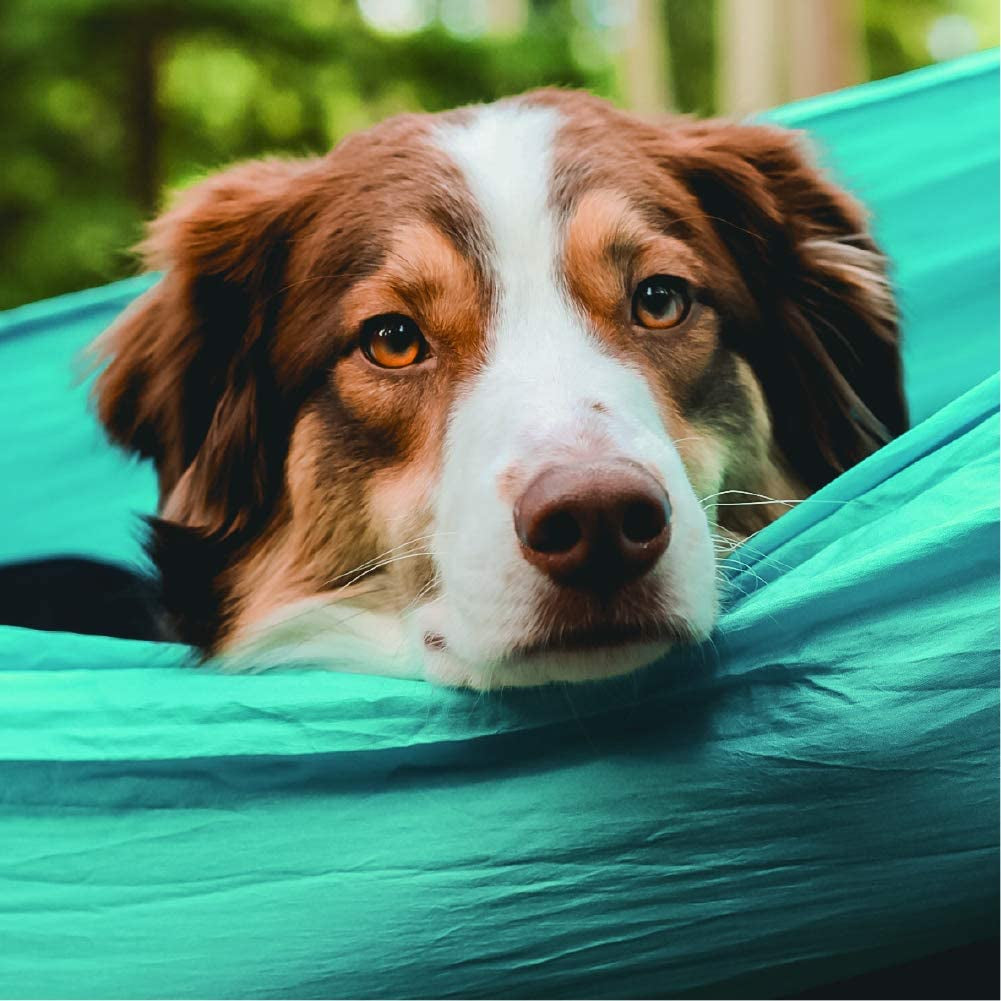 Hammock Camping Double & Single with Tree Straps -
